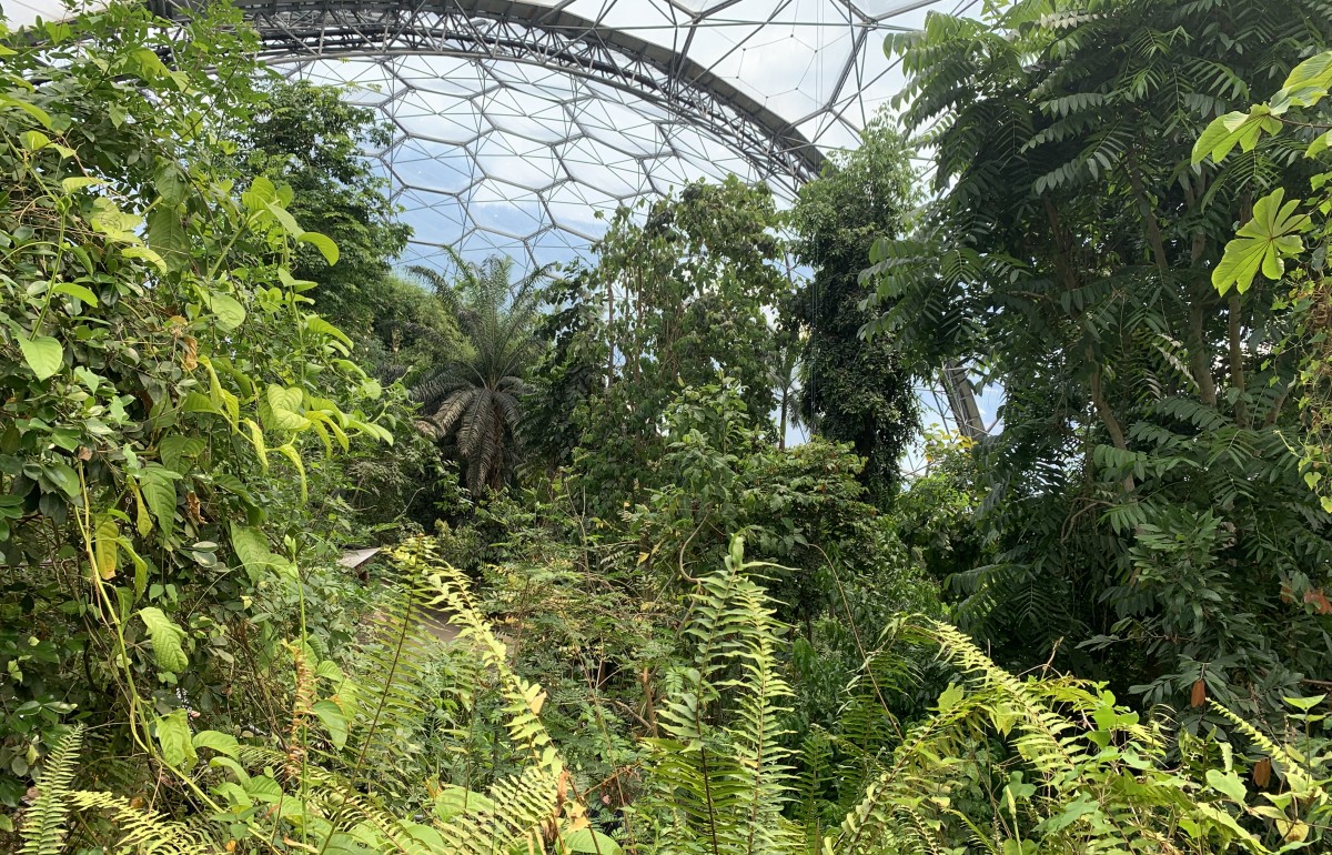 Inside the rainforest biome at Eden Project.
