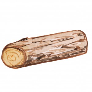 Watercolour image of a single wood log