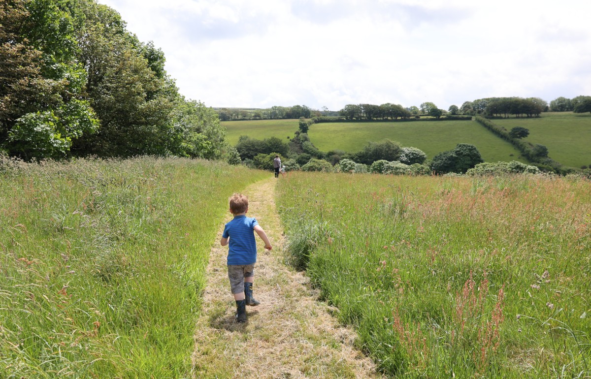 A little boy running away from camera along a grass path in a meadow