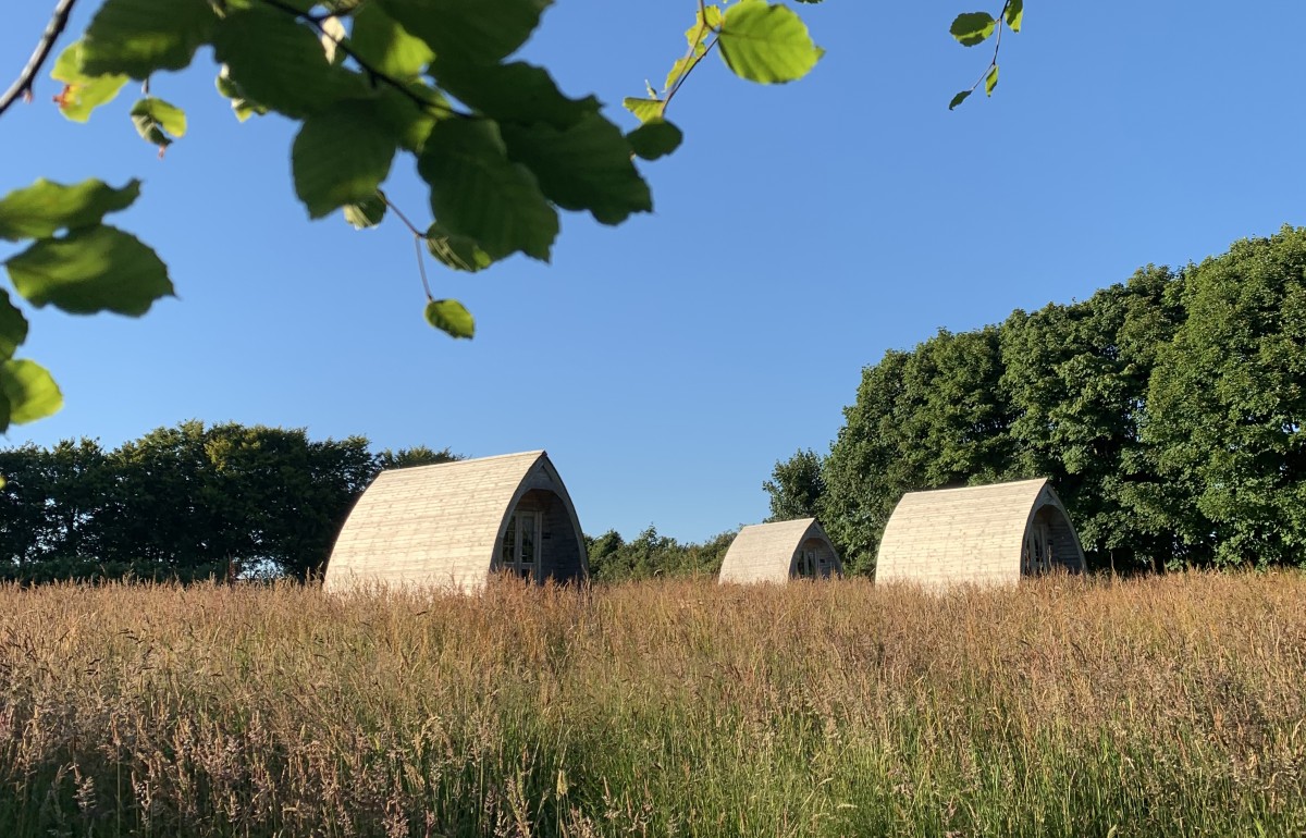 Three wooden camping pods seen through the long grass on a sunny day in Cornwall