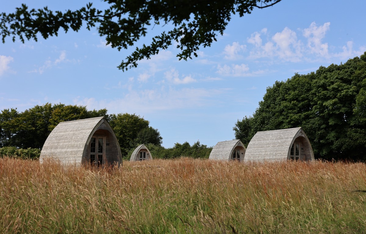 Four timber camping pods in the late summer sun in Cornwall