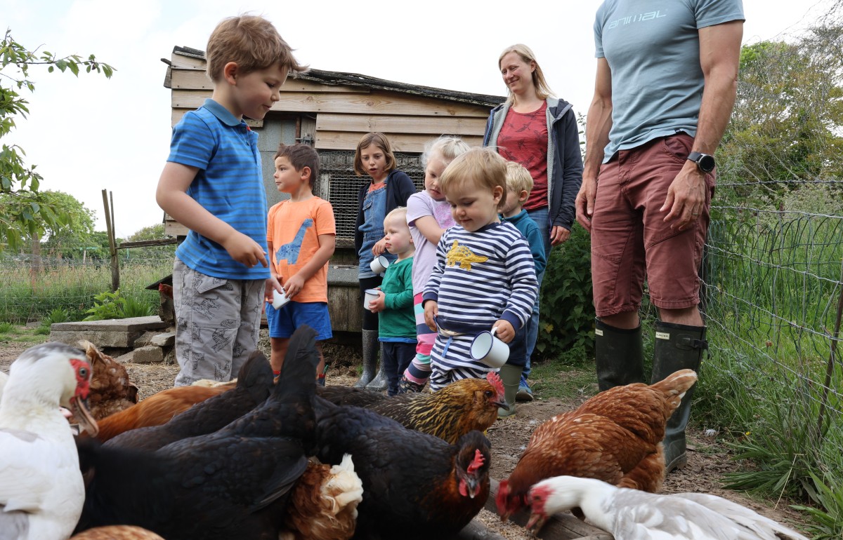 Smiling young children feeding the chickens in the morning.