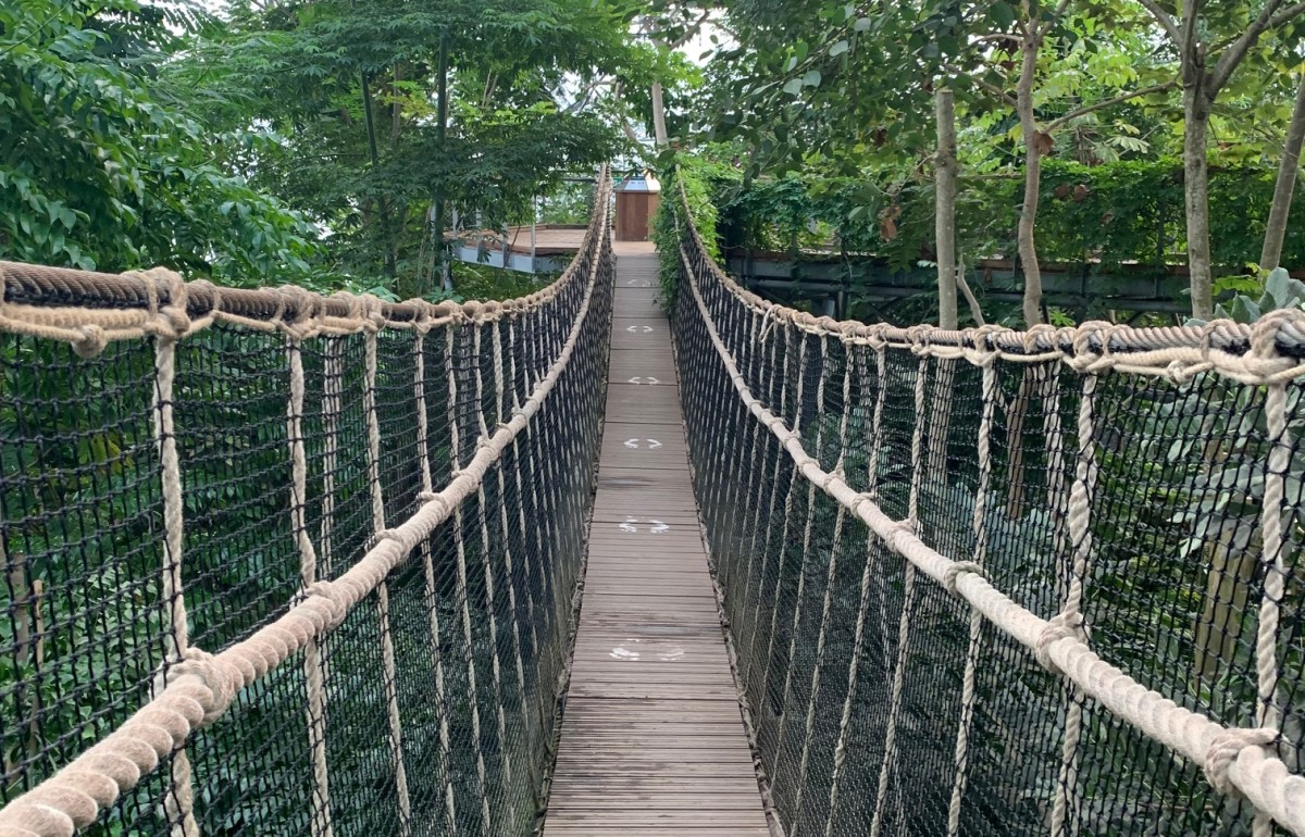 The rainforest rope bridge at the Eden Project.